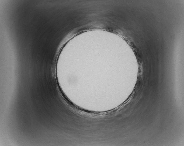 X0000111140004200908111123