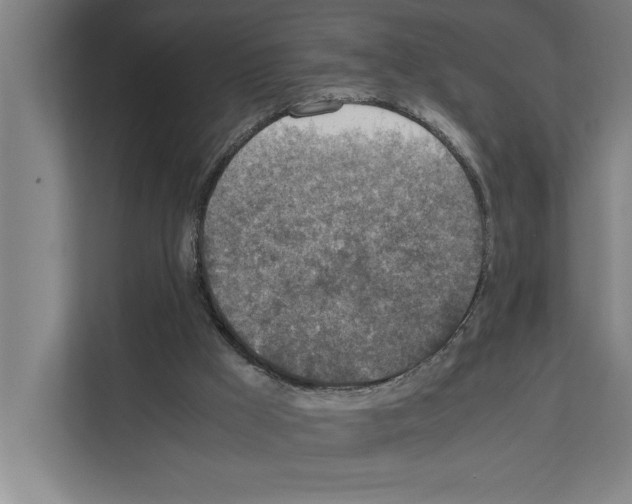 X0000111140009200908111123