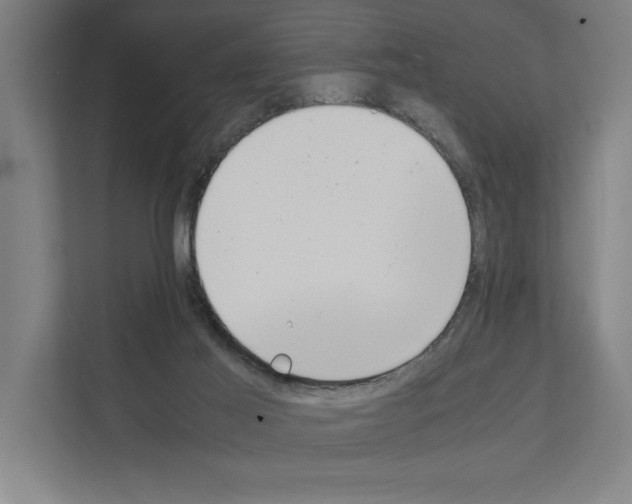 X0000111140021200908111123