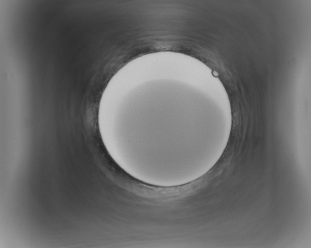 X0000111140031200908111123