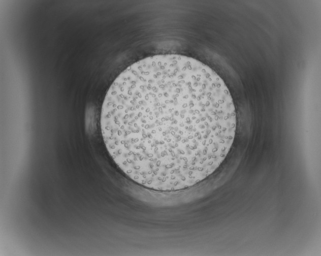 X0000111140038200908111123