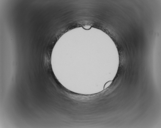 X0000111140040200908111123