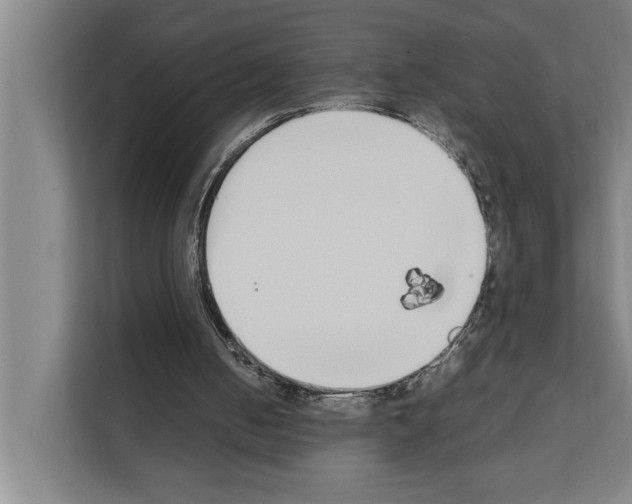 X0000111140050200908111122