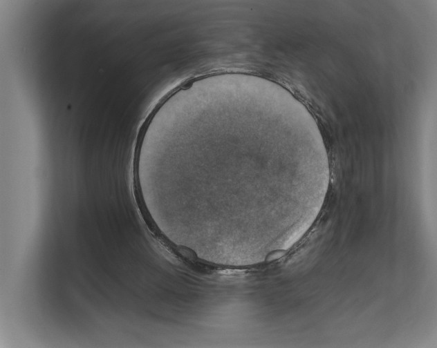 X0000111140052200908111122