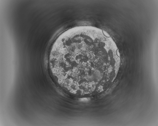 X0000111140053200908111122