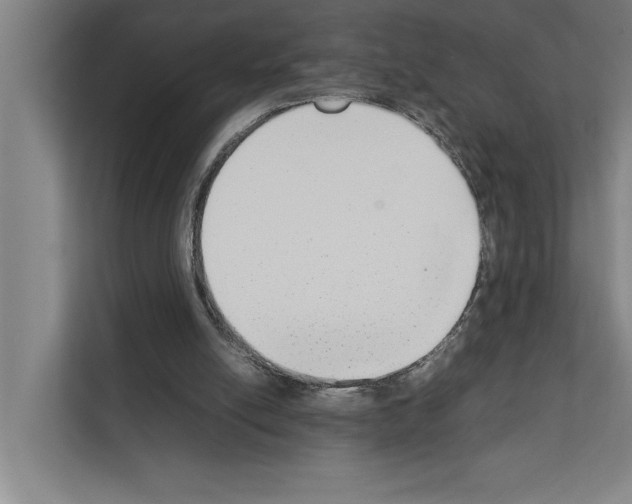 X0000111140054200908111122