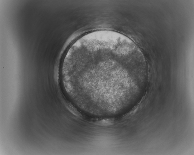 X0000111140056200908111122