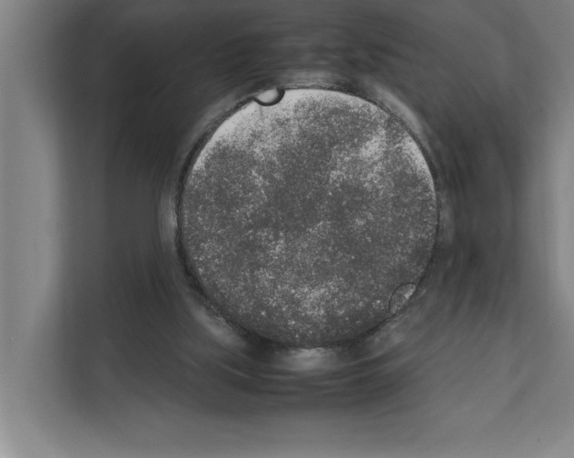 X0000111140059200908111122