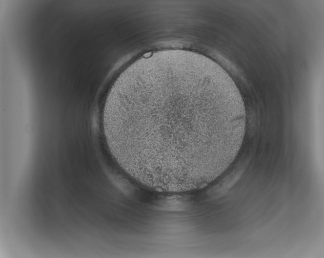 X0000111140064200908111122