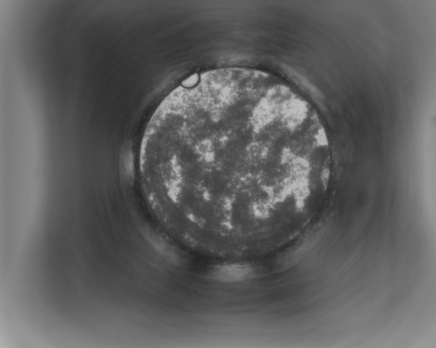 X0000111140067200908111122