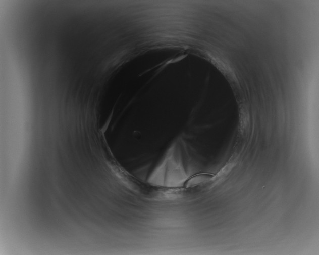 X0000111140078200908111122