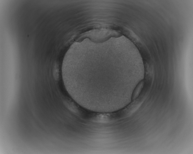 X0000111140080200908111122