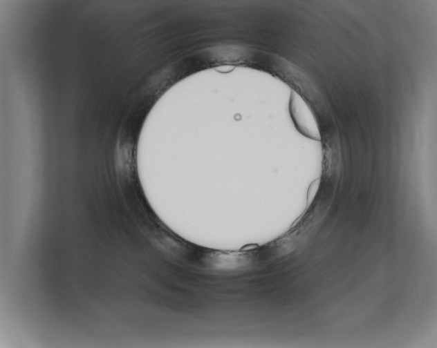 X0000111140093200908111122