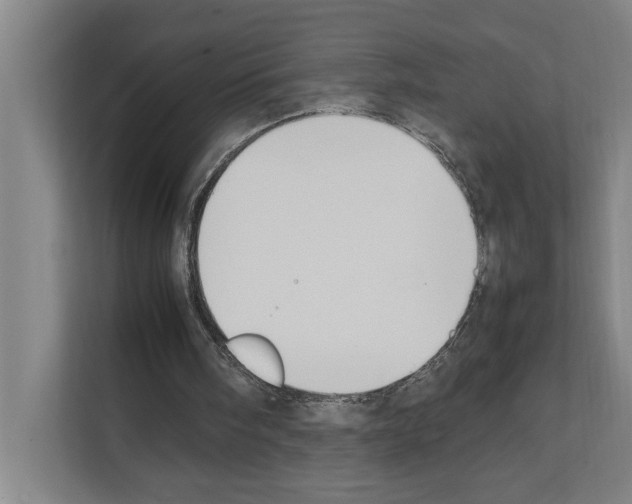 X0000111140098200908111122