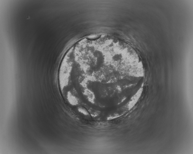 X0000111140099200908111122