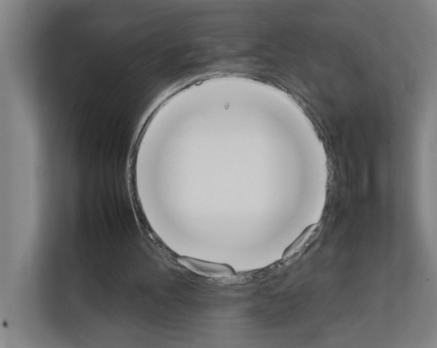 X0000111140100200908111122