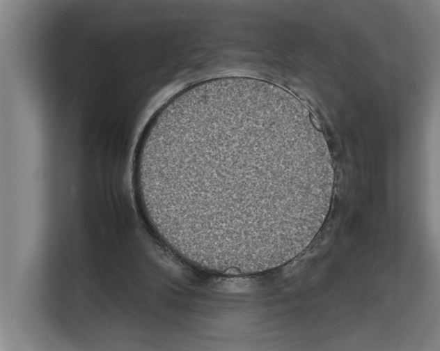 X0000111140104200908111122