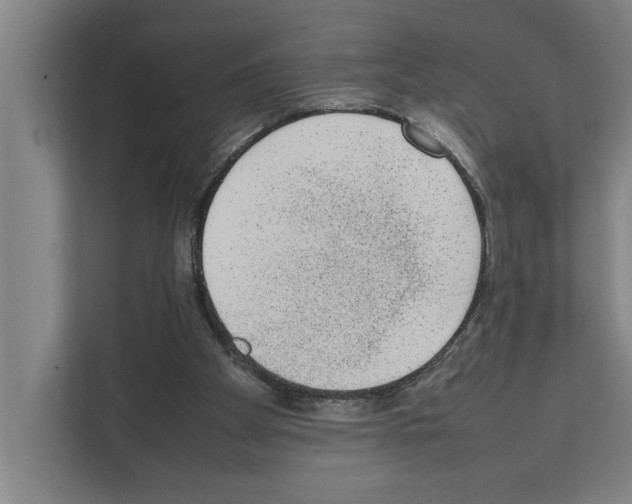 X0000111140105200908111122