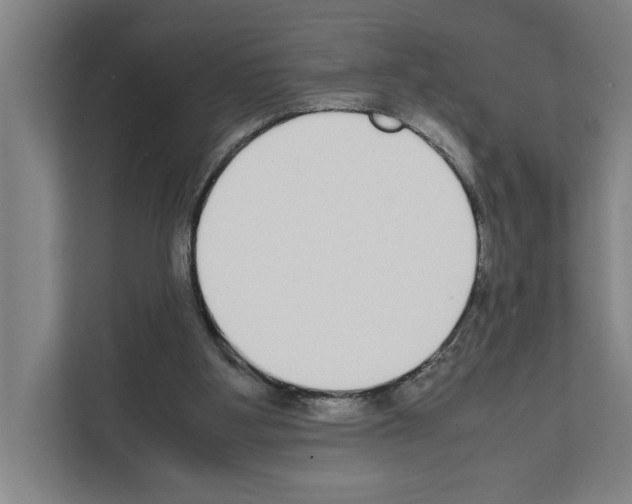 X0000111140107200908111122