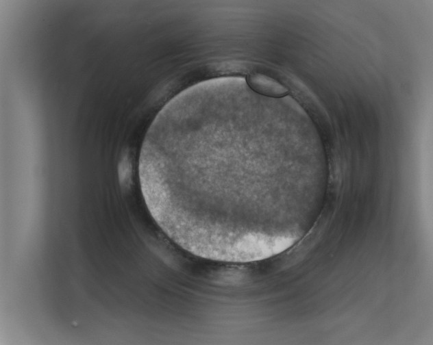 X0000111140124200908111121