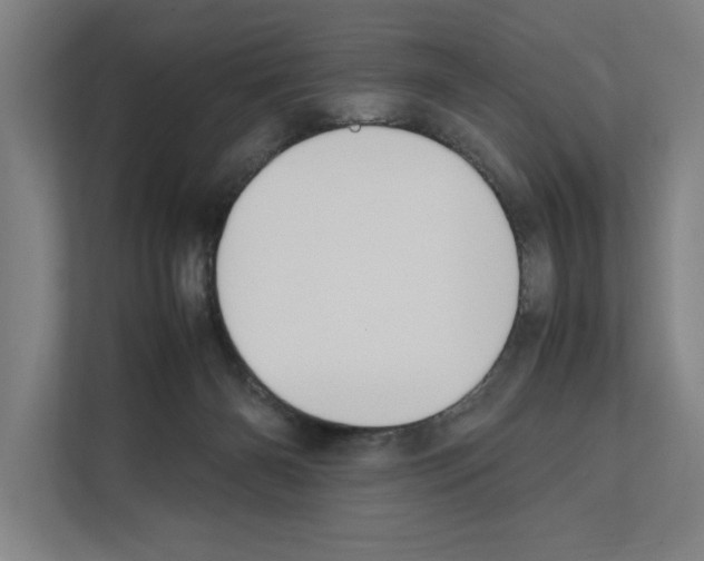 X0000111140126200908111121