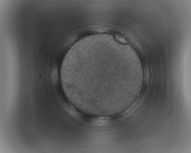 X0000111140128200908111121