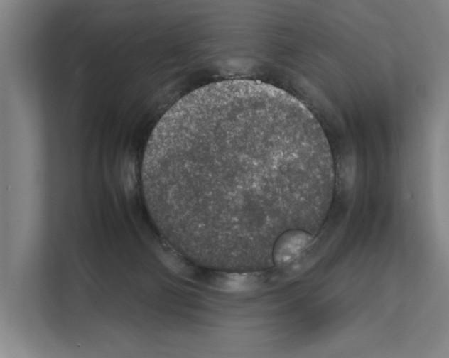 X0000111140130200908111121