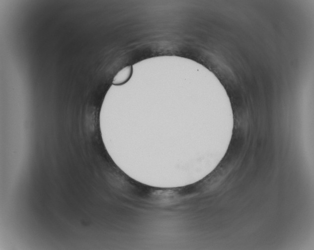 X0000111140133200908111121