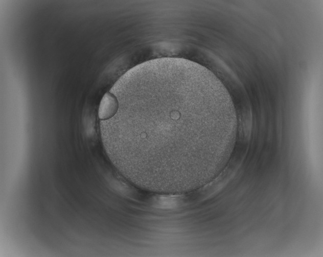 X0000111140134200908111121