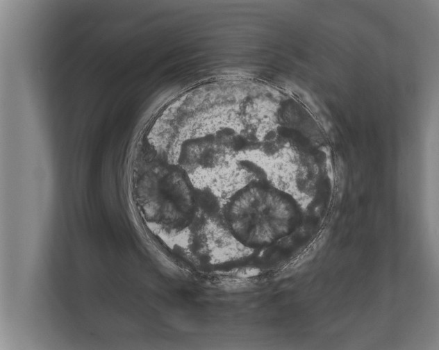 X0000111140145200908111121