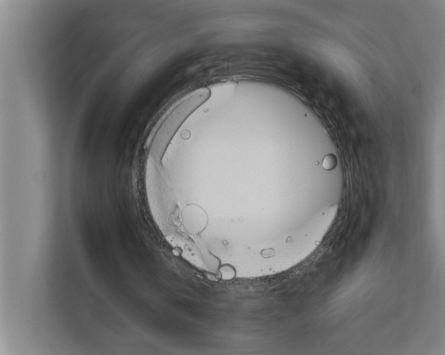 X0000111140146200908111121