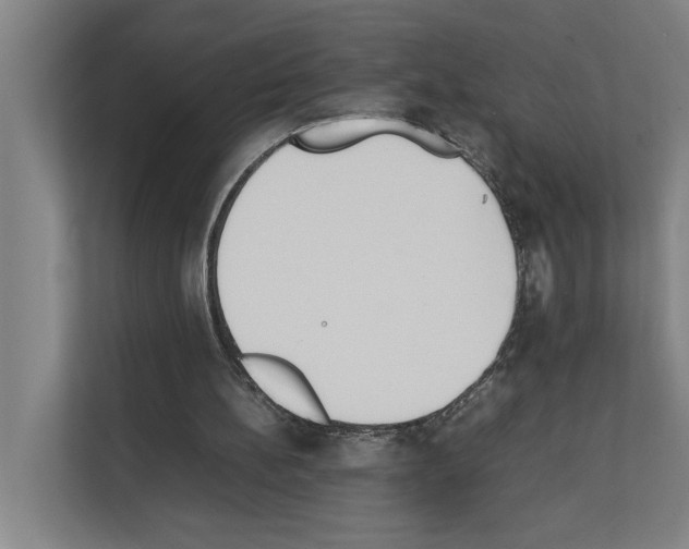 X0000111140148200908111121