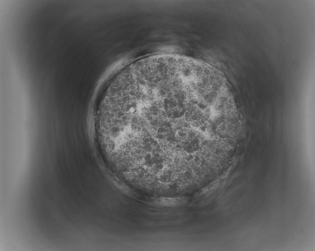 X0000111140149200908111121