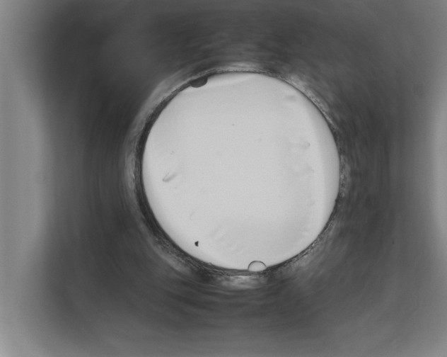 X0000111140151200908111121