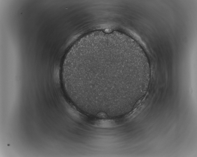 X0000111140154200908111121