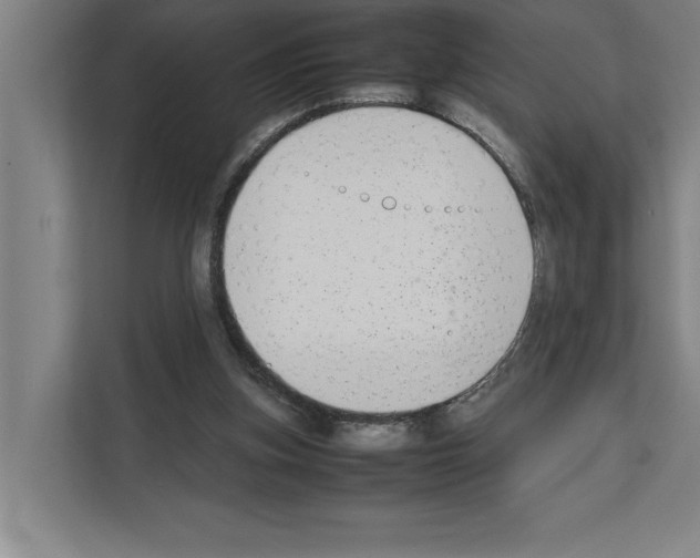 X0000111140155200908111121