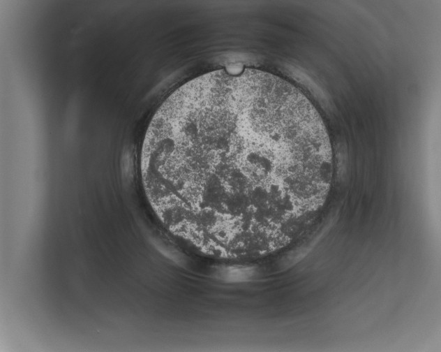 X0000111140165200908111121