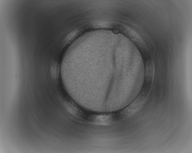 X0000111140168200908111121