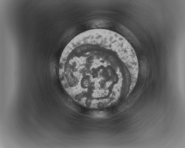 X0000111140169200908111121