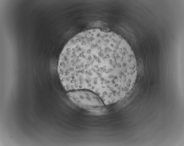 X0000111140179200908111121