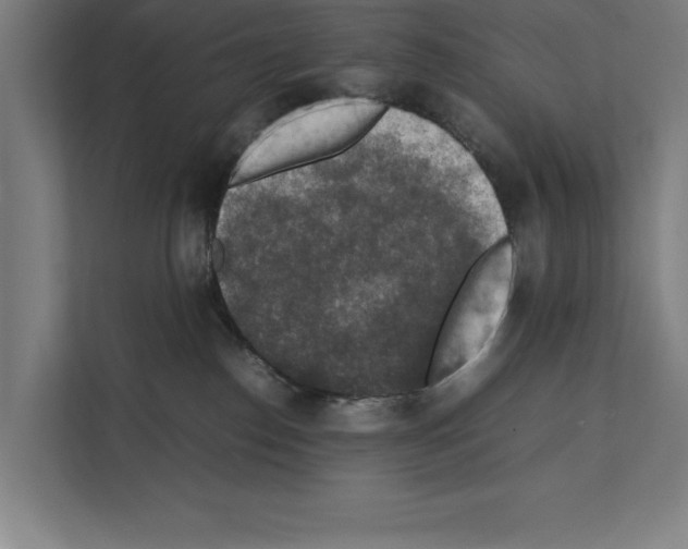 X0000111140186200908111121