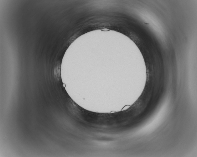 X0000111140190200908111121