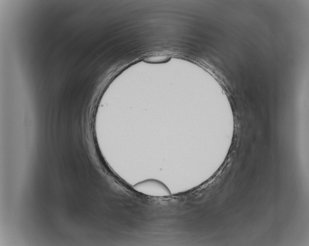 X0000111140193200908111120