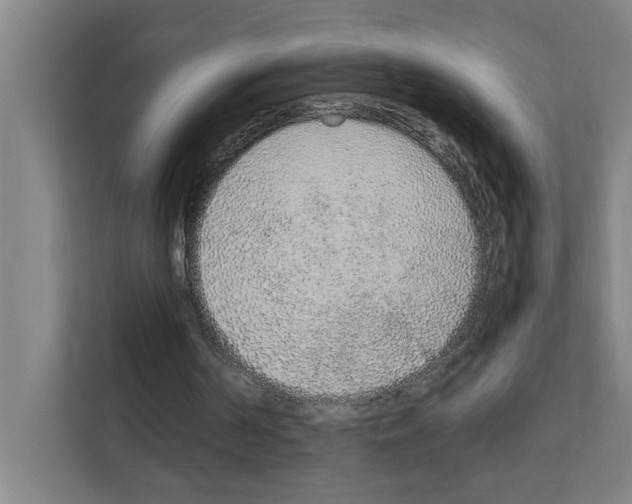 X0000111140194200908111120