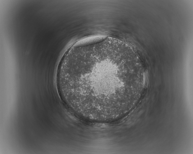 X0000111140195200908111120