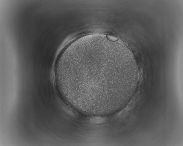 X0000111140198200908111120