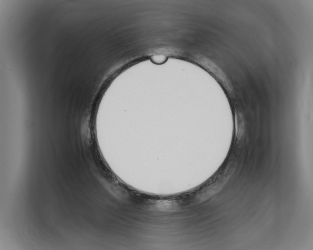 X0000111140204200908111120