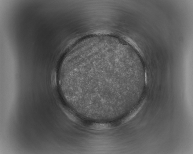 X0000111140205200908111120