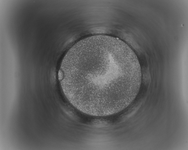 X0000111140207200908111120