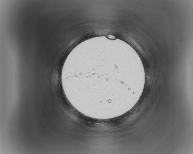 X0000111140211200908111120